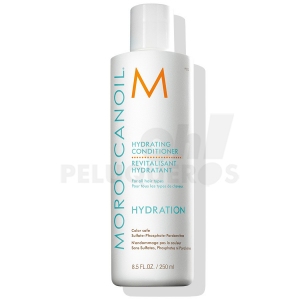 Comprar Acondicionador Hidratante 250ml