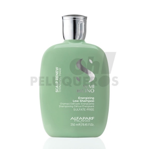 Comprar Energizing Low Shampoo 250ml