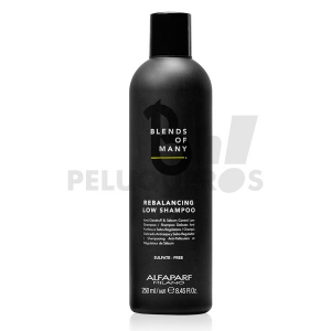 Comprar Rebalancing Low Shampoo Men 250ml