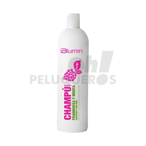 Comprar Champú frambuesa y menta 1000ml