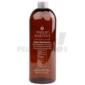 Comprar Philip Martin's Colour Maintenance 1000ml