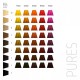 ELUMEN BB@10 Goldwell 200ml
