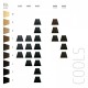 ELUMEN BB@10 Goldwell 200ml