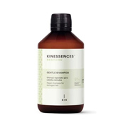 Champú Reparador Kinessences Restore - 1000 ml