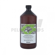 RENEWING Shampoo Davines 1000ml