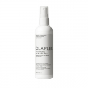 VOLUMIZING BLOW DRY MIST 150ml
