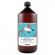 Well-Being Conditioner 1000ml
