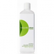 Naturally Clean 470ml